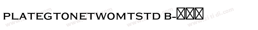 PlateGtOneTwoMTStd B字体转换